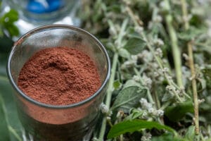 Sen Wellness Sanctuary | Ayurveda for Allergies Sen Wellness Sanctuary | Ayurveda for Allergies