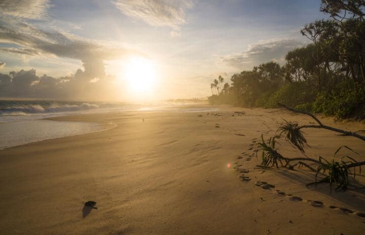 rekawa-beach-alamy-large