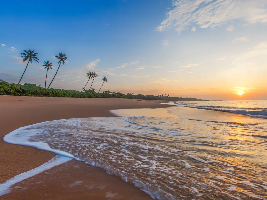 Sen Wellness Sanctuary | Ayurveda Retreat in Sri Lanka – Top 10 Tips Sen Wellness Sanctuary | Ayurveda Retreat in Sri Lanka – Top 10 Tips