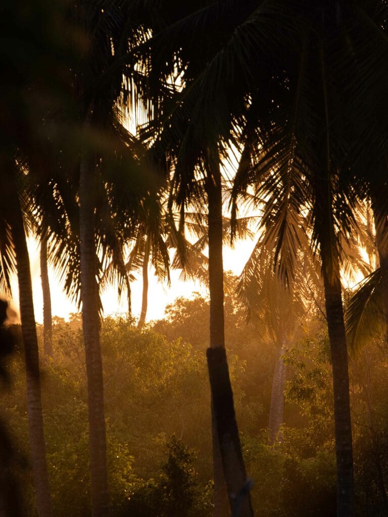 Sen Wellness Sanctuary | Special Summer Offer Sen Wellness Sanctuary | Special Summer Offer