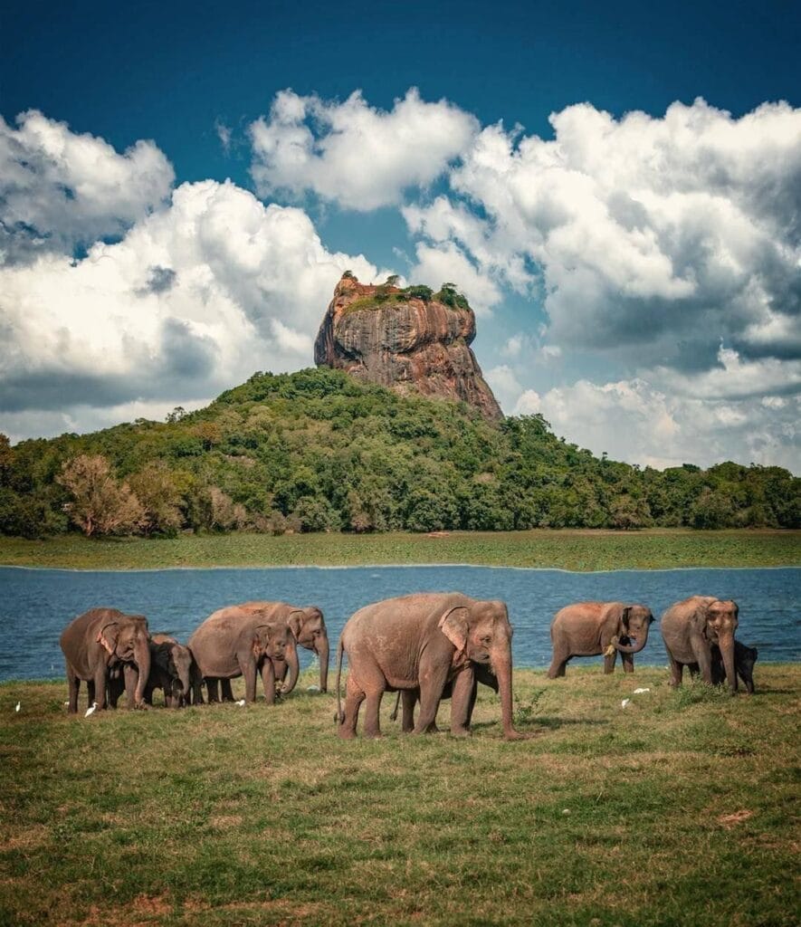 Sen Wellness Sanctuary | Solo Travel in Sri Lanka Sen Wellness Sanctuary | Solo Travel in Sri Lanka