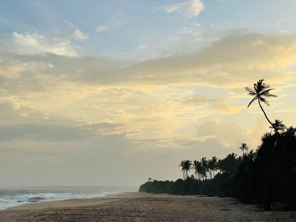 Sen Wellness Sanctuary | When Winter Calls Us Inward Sen Wellness Sanctuary | When Winter Calls Us Inward