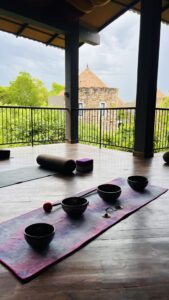Sen Wellness Sanctuary | The Future of Human Wellbeing: An Ongoing Inquiry