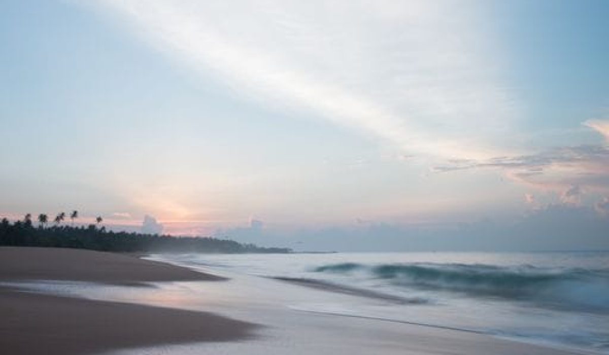 Sen Wellness Sanctuary | Coming Home Autumn & Winter