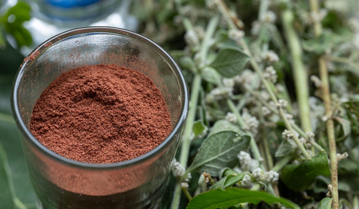 Sen Wellness Sanctuary | Ayurveda for Allergies