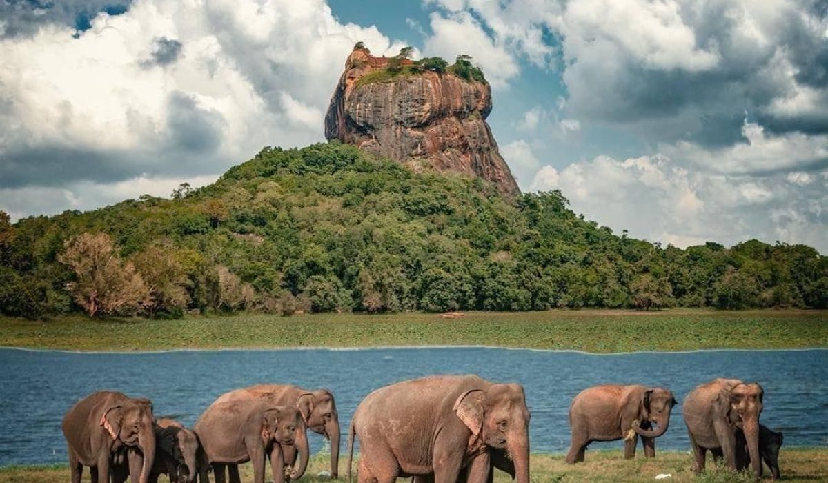 Solo Travel in Sri Lanka Solo Travel in Sri Lanka | No.1 Travel Guide & Itinerary for 2025