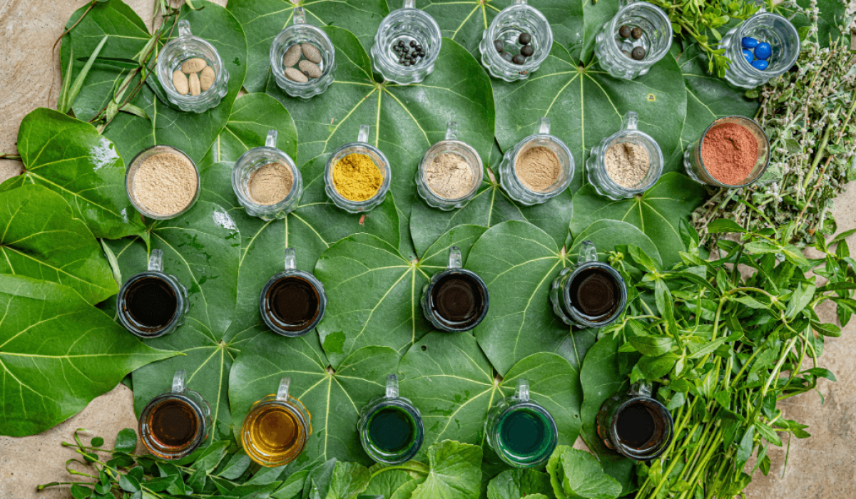 Sen Wellness Sanctuary | What happens at an Ayurveda Retreat in  Sri Lanka?