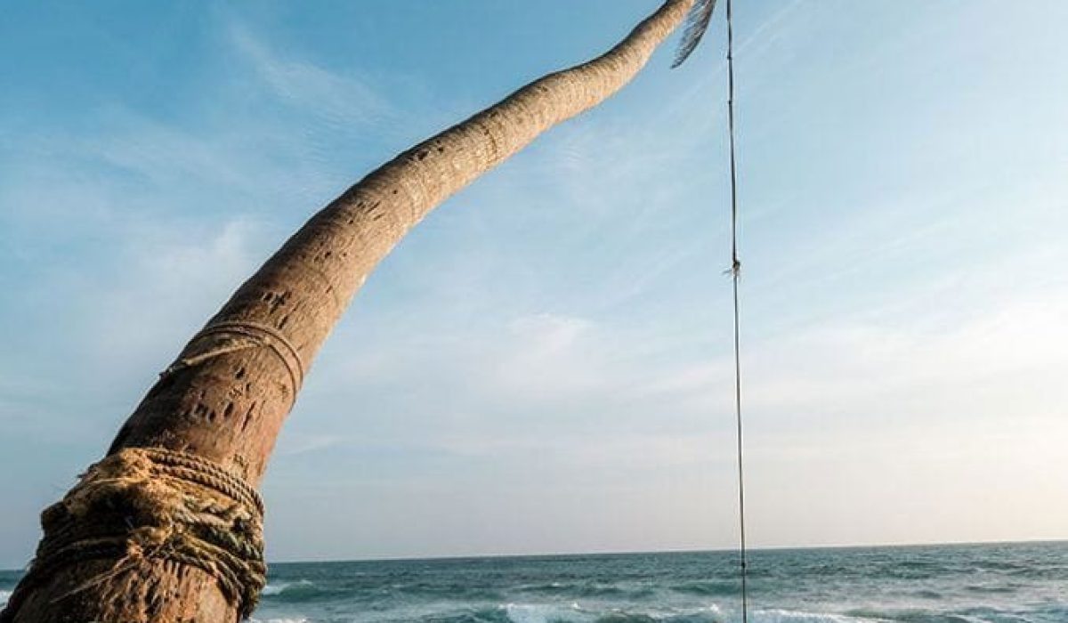 WhatsApp Image 2025-08-01 at 11.24.34