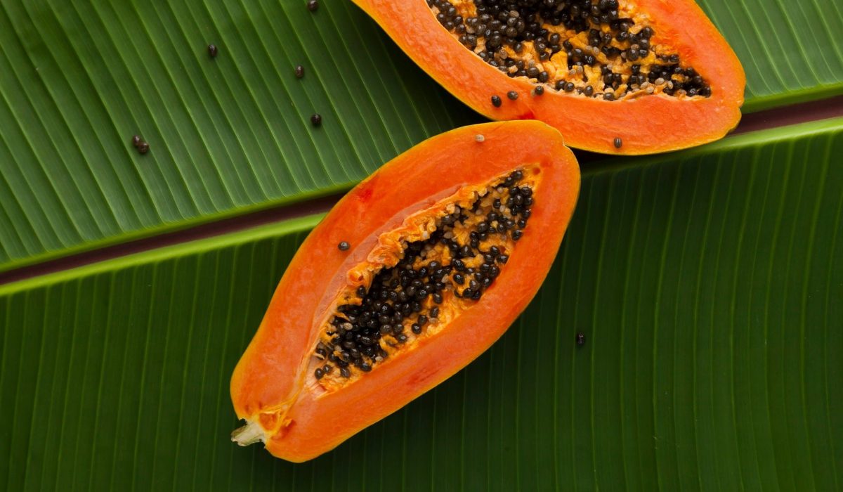 bon-vivant-Ooj1c6fhdFM-unsplash